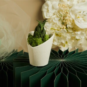 VASETTO BIANCO CUORE  CON PIANTINA E MUSCHIO