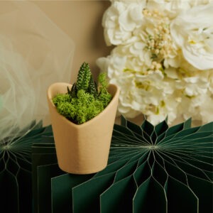 VASETTO MARRONE CUORE  CON PIANTINA E MUSCHIO