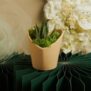 VASETTO MARRONE CUORE  CON PIANTINA E MUSCHIO