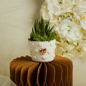 VASETTO CUORICINI CON APPLICAZIONE ORO ROSA E PIANTINA CON MUSCHIO