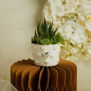 VASETTO CUORICINI CON APPLICAZIONE SILVER E PIANTINA CON MUSCHIO