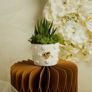 VASETTO CUORICINI CON APPLICAZIONE ORO E PIANTINA CON MUSCHIO