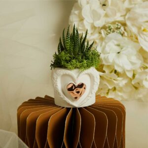 VASETTO CUORE CON APPLICAZIONE ORO ROSA E PIANTINA CON MUSCHIO