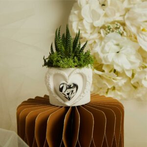 VASETTO CUORE CON APPLICAZIONE SILVER E PIANTINA CON MUSCHIO