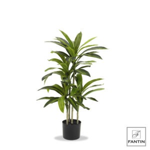 SET 2 PIANTE TROPICALE CON VASO CM. H100