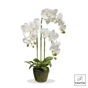 COMPOSIZIONE ORTENSIE REAL TOUCH BIANCHE 6 STELI CM.60