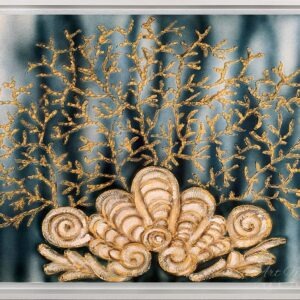 CORALLO CON CONCHIGLIA